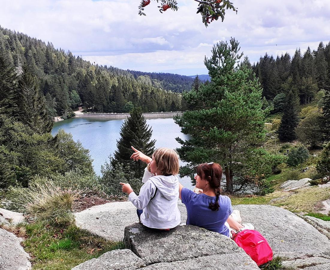 Chalet Hohneck 4 Etoiles, Vieux Bois Et Pierre, Spa, Sauna, Borne De Recharge Stosswihr Екстер'єр фото