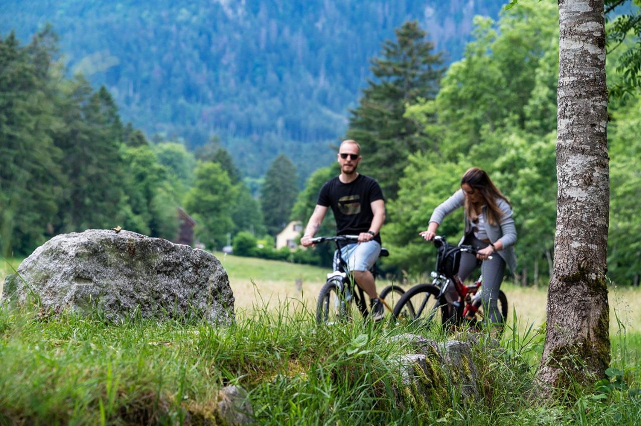 Chalet Hohneck 4 Etoiles, Vieux Bois Et Pierre, Spa, Sauna, Borne De Recharge Stosswihr Екстер'єр фото