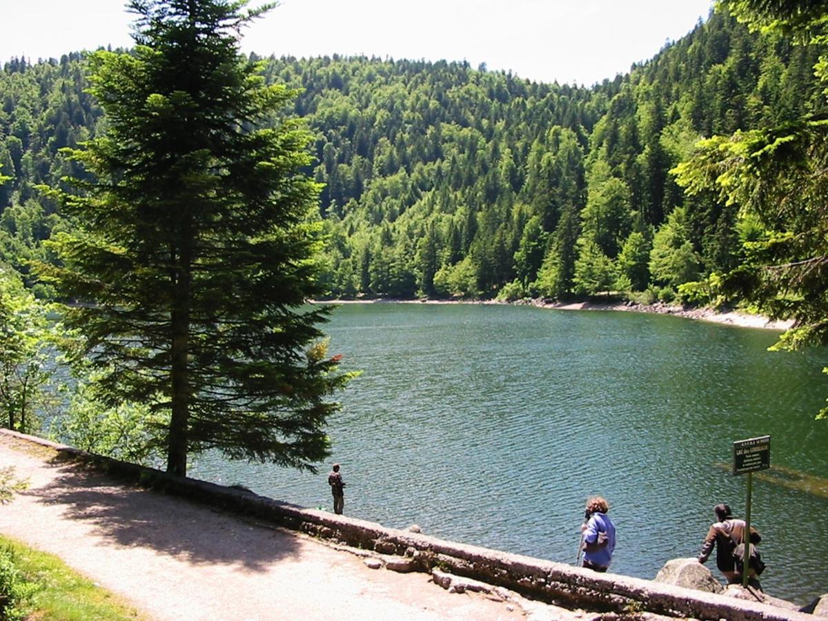 Chalet Hohneck 4 Etoiles, Vieux Bois Et Pierre, Spa, Sauna, Borne De Recharge Stosswihr Екстер'єр фото