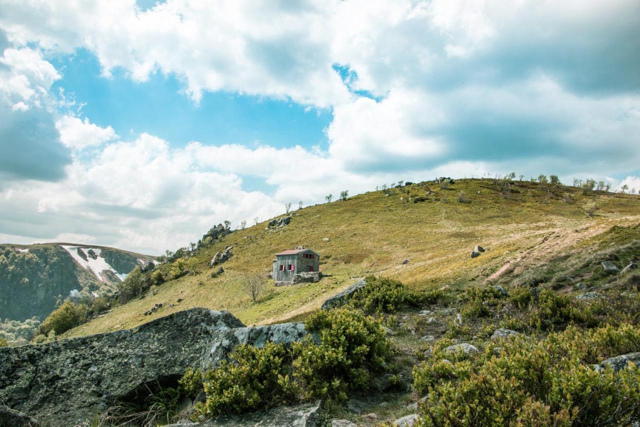 Chalet Hohneck 4 Etoiles, Vieux Bois Et Pierre, Spa, Sauna, Borne De Recharge Stosswihr Екстер'єр фото